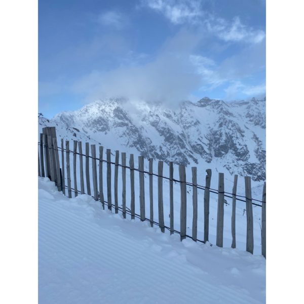 Ganivelle 100 cm de hauteur avec un écart de 4 a 5cm longueur 5m EFF/GANIVELLE/100