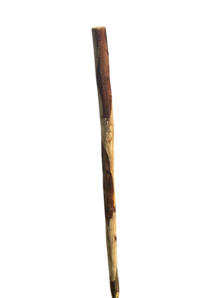 Piquet CHATAIGNIER diam 60 longueur 1,5M CA/CHAT-60-150