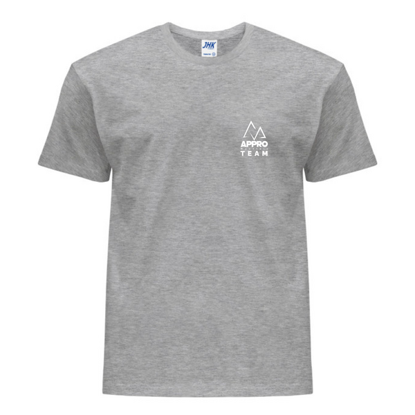 Tshirt adulte GRIS TT002-G